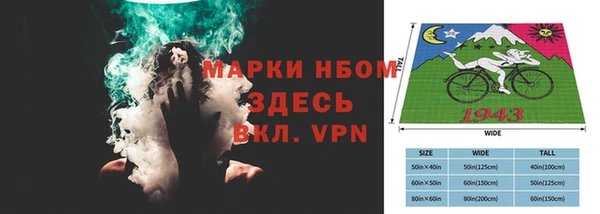 соль ск Бородино