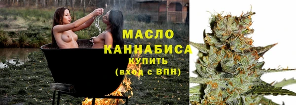 соль ск Бородино