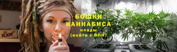 соль ск Бородино